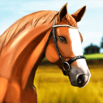 Derby Life Logo