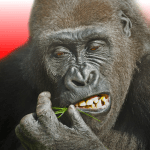 Flying Gorilla Logo