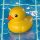 Placid Plastic Duck Simulator Logo