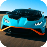 Car Real Simulator Logo