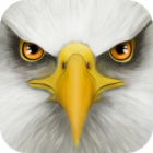 Ultimate Bird Simulator Logo